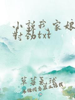 小说我家娘子不对劲txt