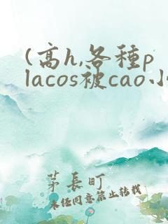 (高h,各种placos被cao小说