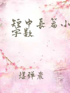 短中长篇小说的字数