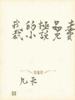 我的极品老婆总裁小说免费阅读