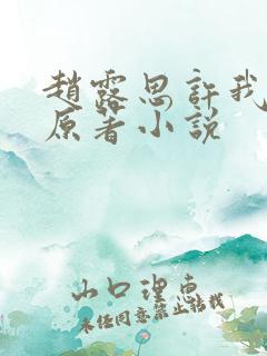 赵露思许我耀眼原著小说