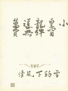 万道龙皇小说免费无弹窗