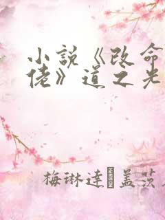 小说《改命风水佬》道之光