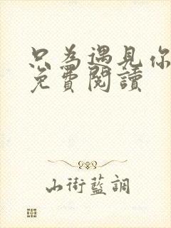 只为遇见你全文免费阅读