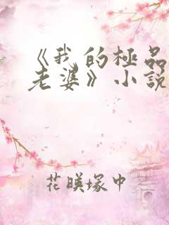 《我的极品美女老婆》小说