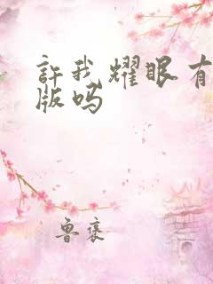 许我耀眼有小说版吗