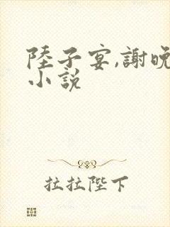 陆子宴,谢晚凝小说