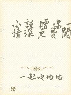 小说 赠你一世情深免费阅读