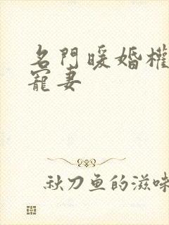 名门暖婚权爷盛宠妻