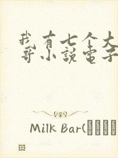 我有七个大佬哥哥小说电子版txt