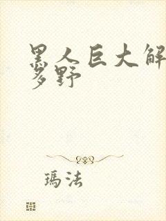 黑人巨大解禁波多野