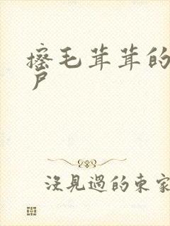 擦毛茸茸的老阴户