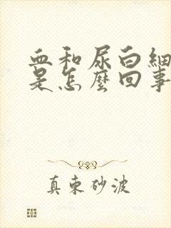 血和尿白细胞高是怎么回事