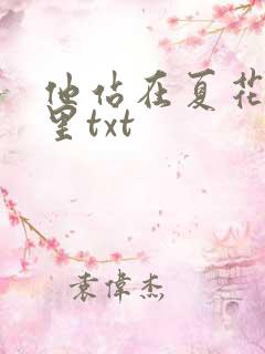 他站在夏花绚烂里txt