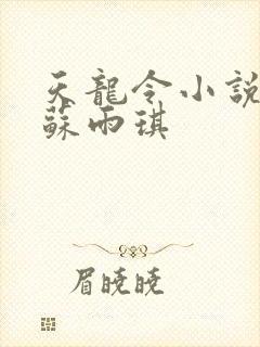 天龙令小说陈平苏雨琪