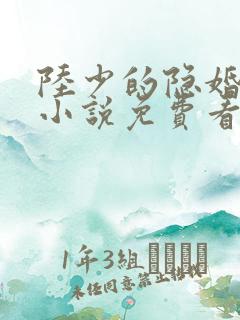 陆少的隐婚罪妻小说免费看