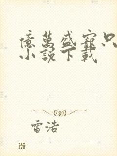 亿万盛宠只为你小说下载