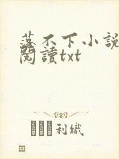 落不下小说免费阅读txt