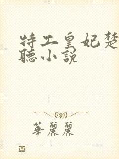 特工皇妃楚乔传听小说