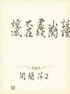 烧不尽小说无删减在线阅读