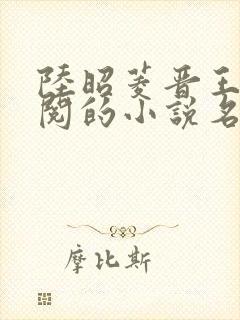 陆昭菱晋王周时阅的小说名