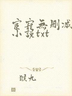 宦宠无删减原著小说txt