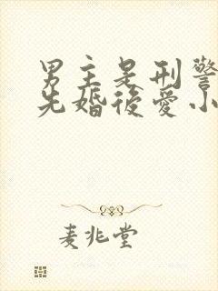 男主是刑警队长先婚后爱小说