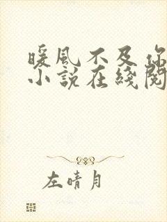 暖风不及你情深小说在线阅读免费