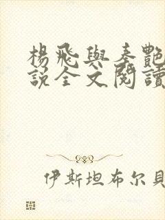 杨飞与秦艳阳小说全文阅读