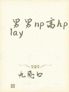 男男np高hplay