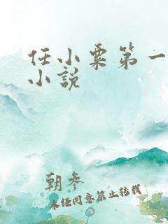 任小粟第一序列小说