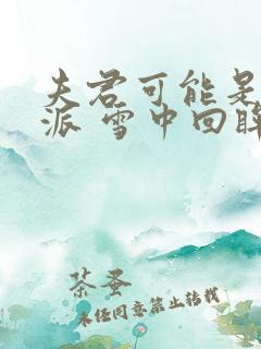 夫君可能是个反派 雪中回眸