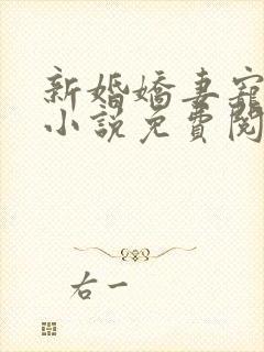 新婚娇妻宠上瘾小说免费阅读