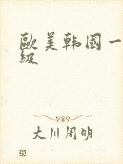 欧美韩国一级三级