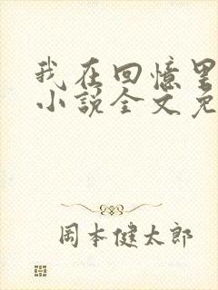 我在回忆里等你小说全文免费阅读