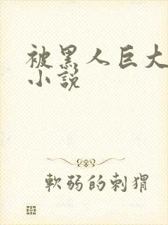 被黑人巨大进入小说