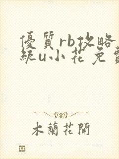 优质rb攻略系统u小花免费阅读