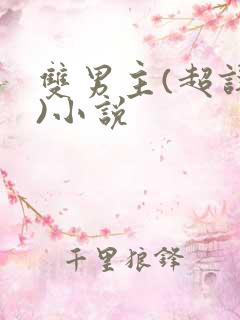 双男主(超详细)小说