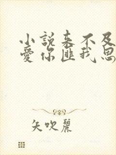小说来不及说我爱你匪我思存