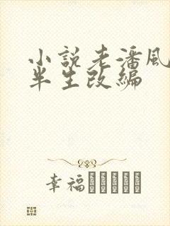 小说老潘风流下半生改编