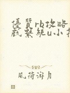 优质rb攻略游戏系统u小花