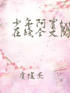 少年阿宾txt在线全文阅读