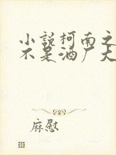 小说柯南之我真不是酒厂大佬txt