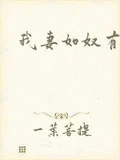 我妻如奴有声