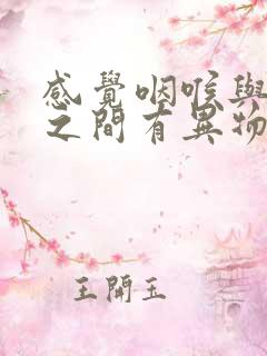 感觉咽喉与鼻子之间有异物