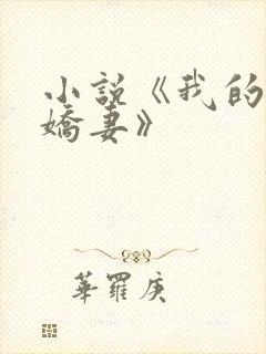 小说《我的极品娇妻》