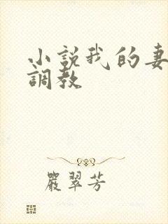 小说我的妻子被调教