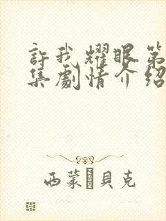 许我耀眼第20集剧情介绍