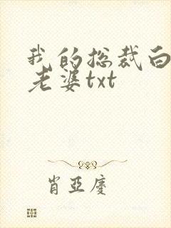我的总裁白富美老婆txt