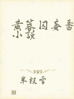黄蓉囚妾番外篇小说